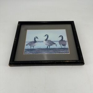 Vintage 1993 J Mets Canadian Goose Framed Print Wildlife Art Distressed Black